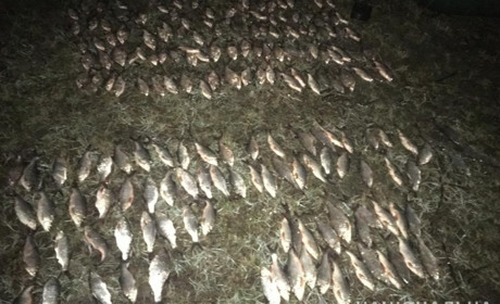 Мешканець села Троїцьке "наловив" під час нересту риби на штраф та карну справу