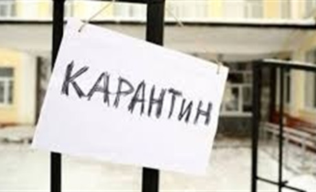 У Добропіллі на карантин закрито 18 шкіл