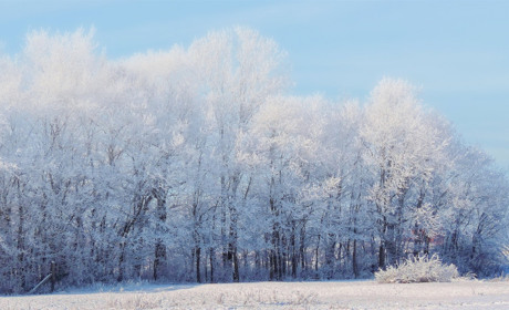 Зима і Сватове. Підбірка фото підписників сторінки нашого сайту в Інстаграм