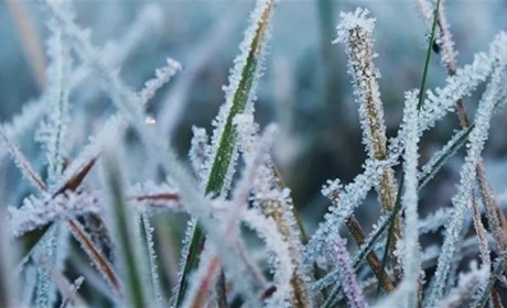 На Дніпропетровщині прогнозують заморозки на поверхні ґрунту: коли чекати