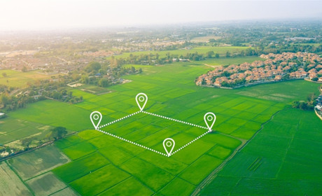 Перевірка кадастрового номера ділянки: алгоритм дій