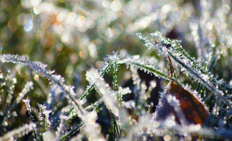 В течение недели в регионе ожидаются грозы и заморозки