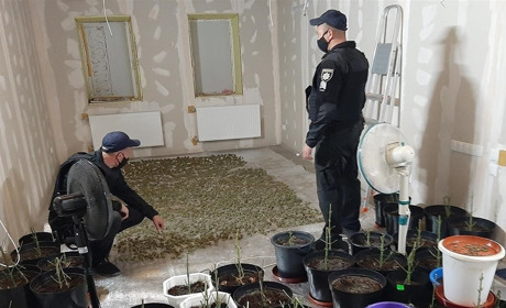 Житель Мелитопольского района растил и хранил дома наркотики на сумму около 40 000 гривен 