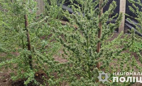 Жителя Кременеччини спіймали на зберіганні великої кількості наркотиків: триває слідство