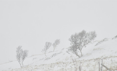 Морози, хуртовини, ожеледиця: Укргідрометцентр попереджує, що за кілька днів погода погіршиться
