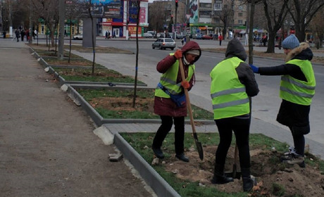 В Мелитополе высадили саженцы деревьев, но «лысых» мест в городе еще много