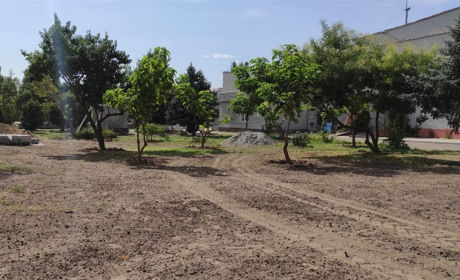 Біля ЦНАПу проводять благоустрій