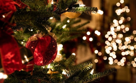 Аніматори Happy Land Smila запрошують дітей на Christmas party