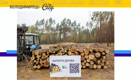 "ДроваЄ": зручний онлайн магазин дров від Рафалівського лісництва