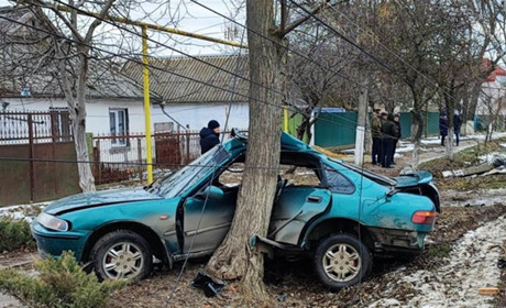 У Біляївці сталася ДТП. Водій зніс стовп, обняв дерево машиною, але залишився живим