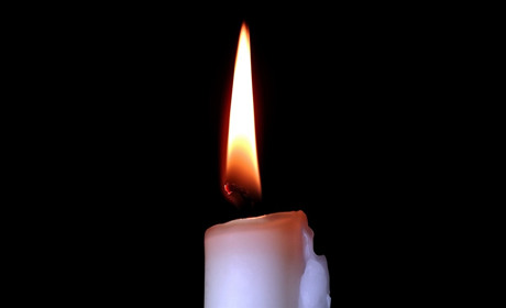 У Сватовому у лісосмузі знайшли тіло чоловіка. Попередня версія смерті — самогубство