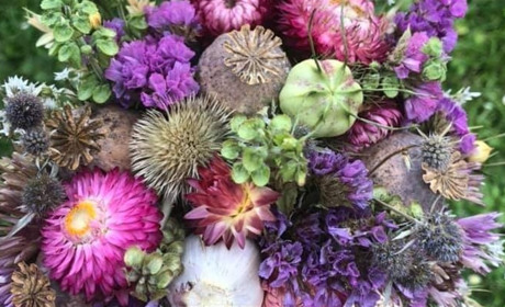 14 серпня — Маковея або Першого Спаса: що святять у церкві і як готуватися вдома