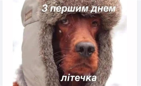 Як старокостянтинівці жартують у соцмережах про початок літа