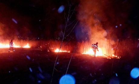 Більше півсотні підпалів: горять трава і очерета у Кагарлицькому районі та Ржищівській ОТГ