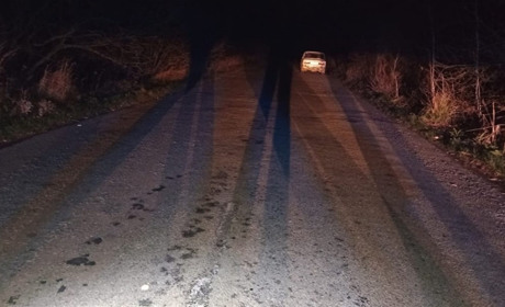 Поблизу Новограда автівка збила 14-річну дівчину — постраждала у лікарні