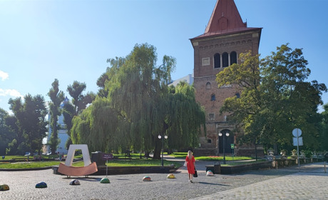 Майстер-класи і фото у фарбі холі: як у Дрогобичі відзначатимуть День молоді