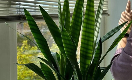 Запускається проект підтримки жінок Херсонської та Миколаївської областей