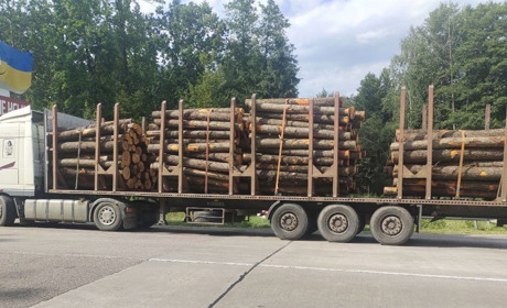 Перевозив вільху «з власного паю»: на Сарненщині зупинили водія