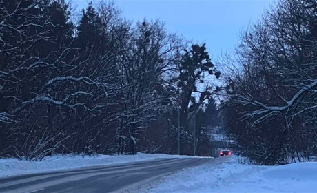 Погода у Старокостянтинові на 9-15 лютого: морози відступають