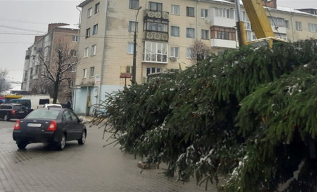 Свято починається: на центральну площу привезли новорічну ялинку