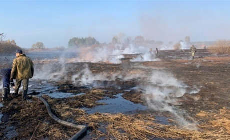 У Київській області горять торф'яники: що робити у разі задимлення міста