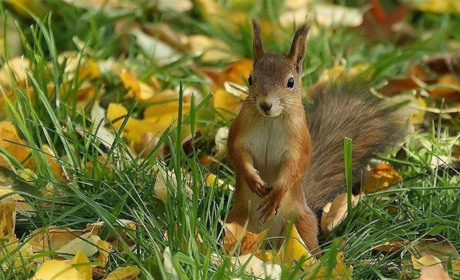 З якою погодою прийдуть вихідні на Сумщину та в Україну: прогноз синоптиків