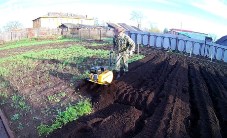 Де купити недорогий культиватор для городу і грядок: 3 моделі з хорошими відгуками