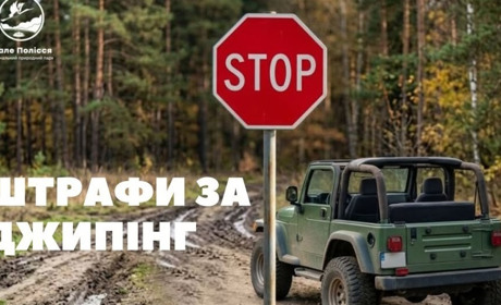 У Національному парку «Мале Полісся» посилюють боротьбу з незаконними заїздами транспорту