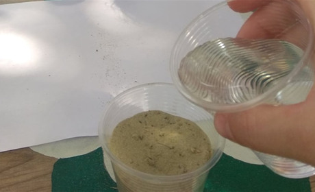 Воєводські дошкільнята досліджують властивості піску