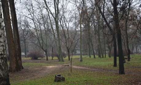 Щоденний дайджест від Золотоноша.City: зустрічаємо новий день – 15 грудня 2021 року
