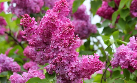 Невеликі короткочасні дощі, грози і до +27 тепла: прогноз погоди від синоптиків