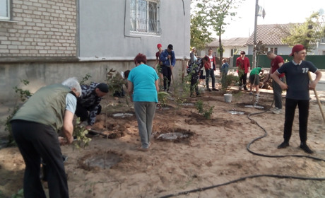 Активісти Нової Каховки борються з незаконними забудовами нестандартними методами