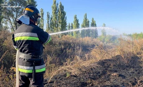 Через спалювання сухої трави на Кременеччині виникло сім пожеж