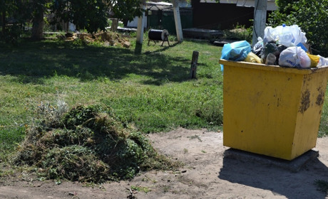 Інспекція з благоустрою Біляївки просить жителів не зносити бур’ян до контейнерів: яка альтернатива
