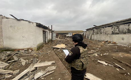 У Кролевці ворог вдарив по фермерському господарству, загинули тварини