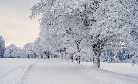 Погода у Барі на 12–18 січня: морози, хмарність і трохи снігу