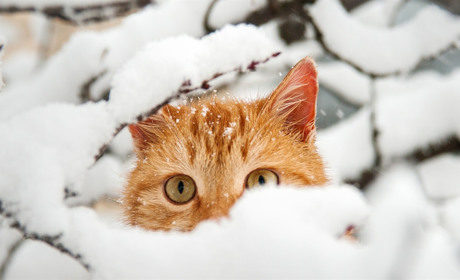 Снег, дождь и гололед: в Торецке объявили штормовое предупреждение