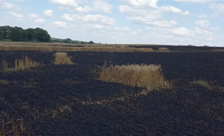 В Білопільській громаді через ворожі обстріли згоріло 22 гектари пшениці і ушкоджено два автомобілі