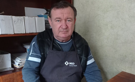 «Найкраща допомога — це будка і їжа»: лікар про хвороби, стерилізацію тварин та роботу ветклініки