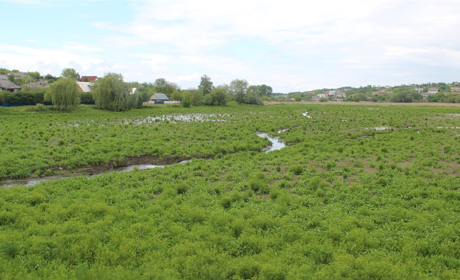 Ставок без води ймовірно буде ще рік. Цього року там лише частково відремонтують дамбу