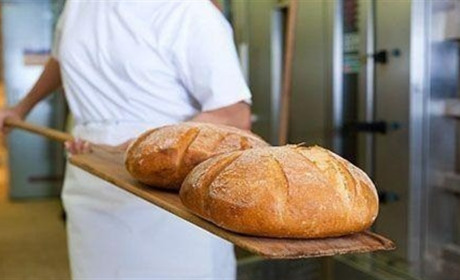 Вакансії від Білопільського центру зайнятості: кого шукають роботодавці станом на 6 листопада