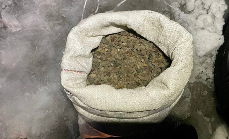 На Сарненщині чоловік перевозив 17 кг бурштину: поліцейські відкрили кримінальне провадження