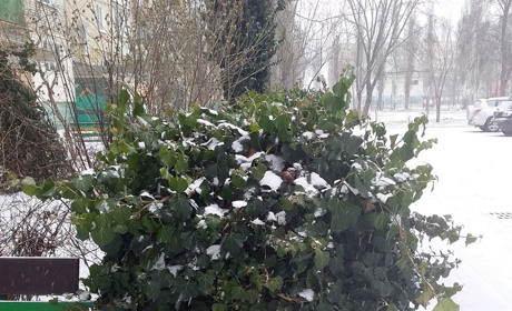 Пришла и оторвала голову нам чумачечая зима! Игра от Мелитополь.Сіty