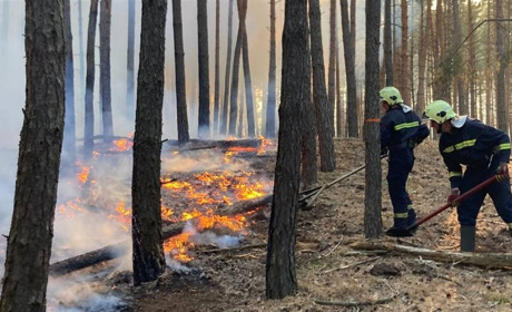Серія пожеж на Переяславщині у вересні: п'ять – у Помоклях, чотири – в Циблях і дві – у Гайшині