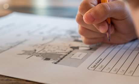 Коли буде пробне ЗНО і як змінилися правила складання: все, що варто знати випускникам Сватівщини