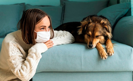 В Україні знов буде діяти адаптивний карантин