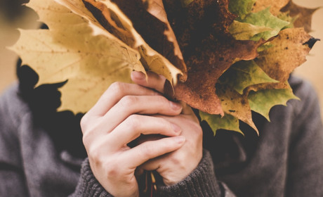 Якою буде погода у Сватовому і районі у останні дні жовтня: прогноз з 26 жовтня по 1 листопада