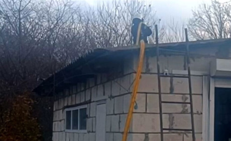 Пожежа у Шостці: рятувальники ліквідували вогонь у гаражі біля приватного будинку