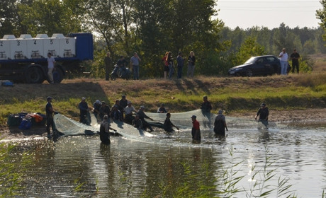 Рибозавод врятований, директор звільнений