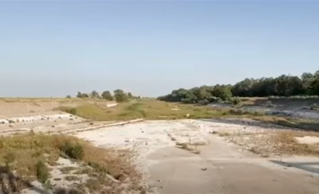 Занепад і бур'яни: у якому стані нині Північно-Кримський канал на ТОТ Херсонщини (відео)